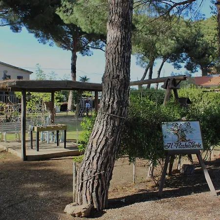 Il Picchio B&B 알비니아