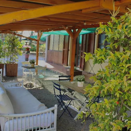 Bed & Breakfast Il Picchio
