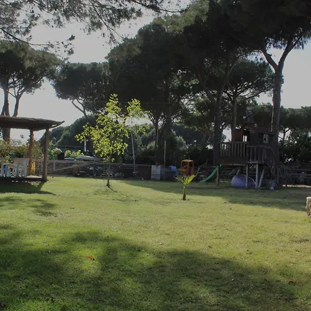 Bed & Breakfast Il Picchio 3*