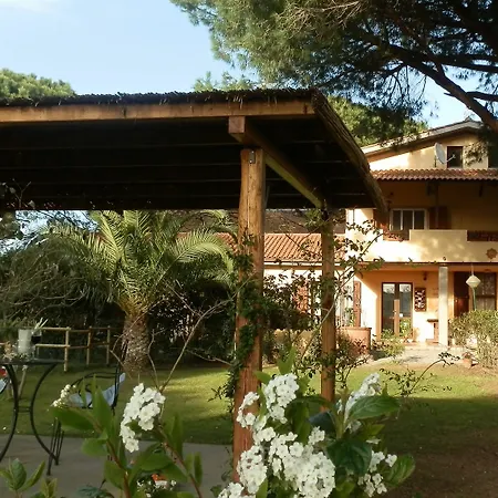 Bed & Breakfast Il Picchio Albinia