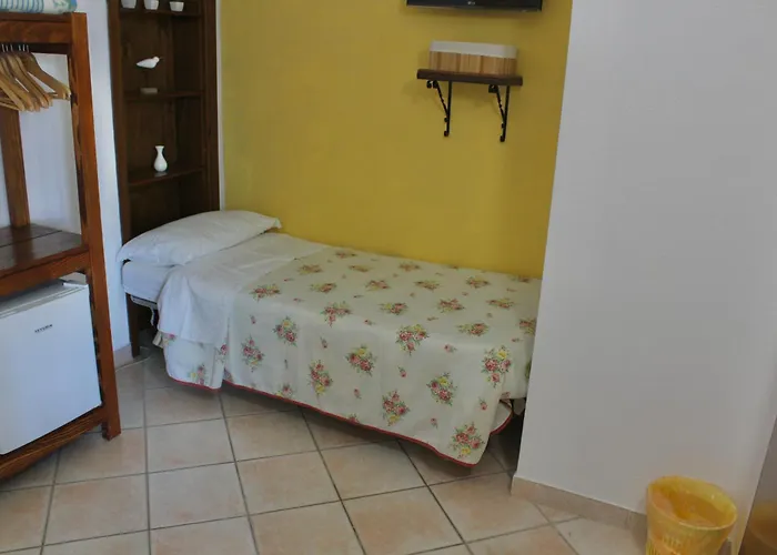 Il Picchio Albinia