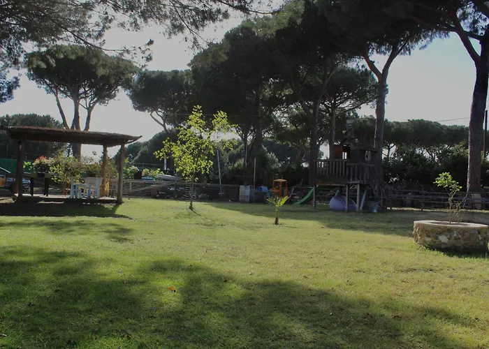 Bed & Breakfast Il Picchio 3*